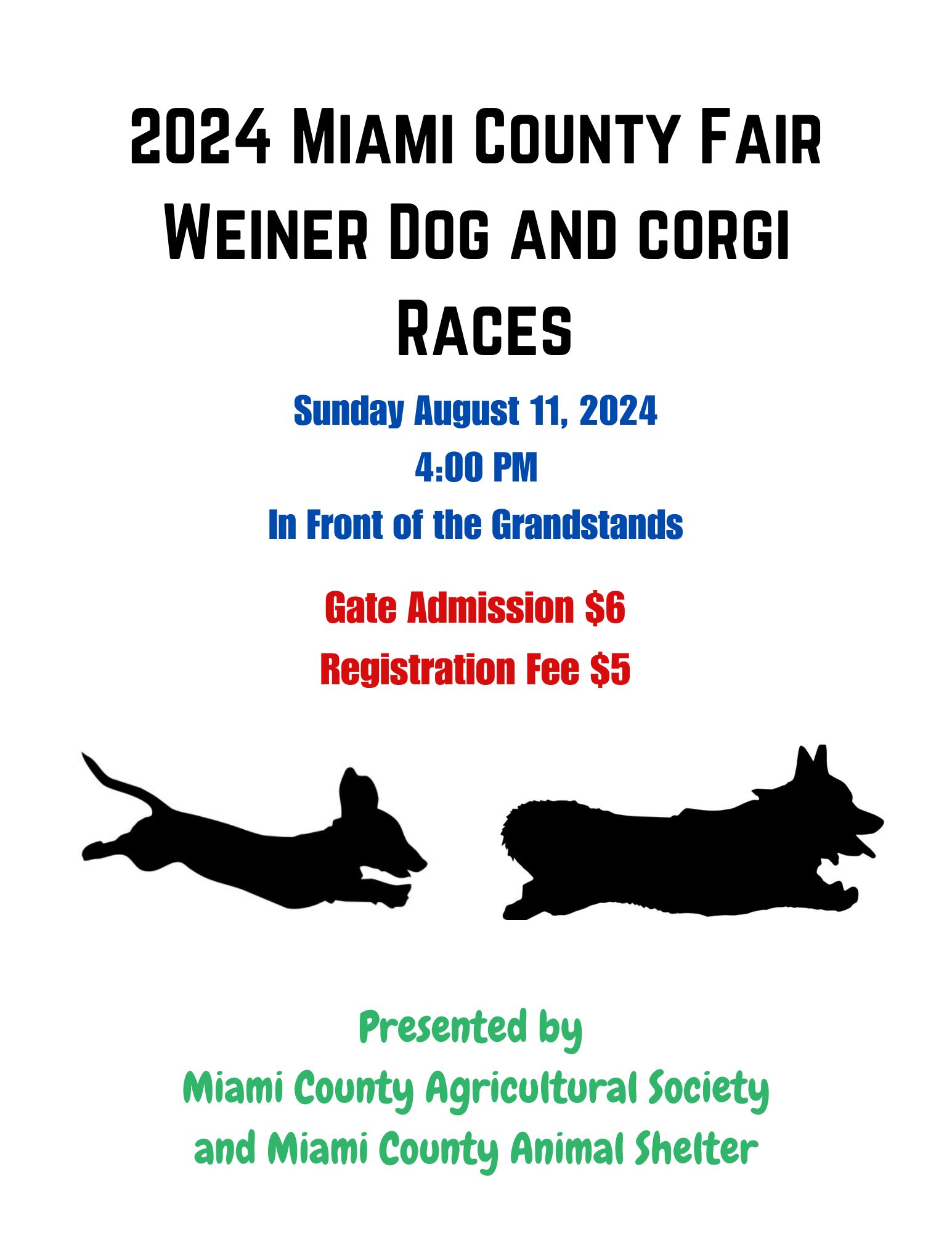 Weiner Dog and Corgi Races